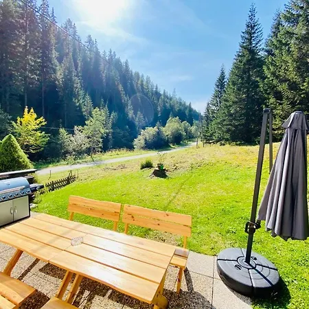 Wildbach Turrach Alpstuga Turracher Hohe