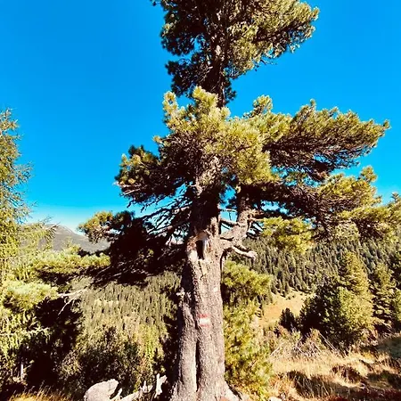 בקתה Wildbach Turrach *